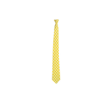 Chokore Lemon & White Silk Tie - Indian at Heart line