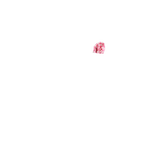 Chokore Magenta Silk Pocket Square - Indian At Heart line