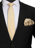 Chokore Beige color silk tie & Two-in-one Beige & Black Silk Pocket Square from the Solids Line set