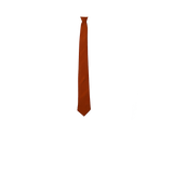 Rust color silk tie for men