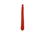 Red Color Silk Tie for men