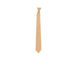Chokore Champagne Silk Tie - Solids line